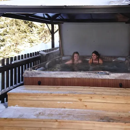 Hébergement de vacances Chalet Hochfuegen By Ski Slope Fuegenberg